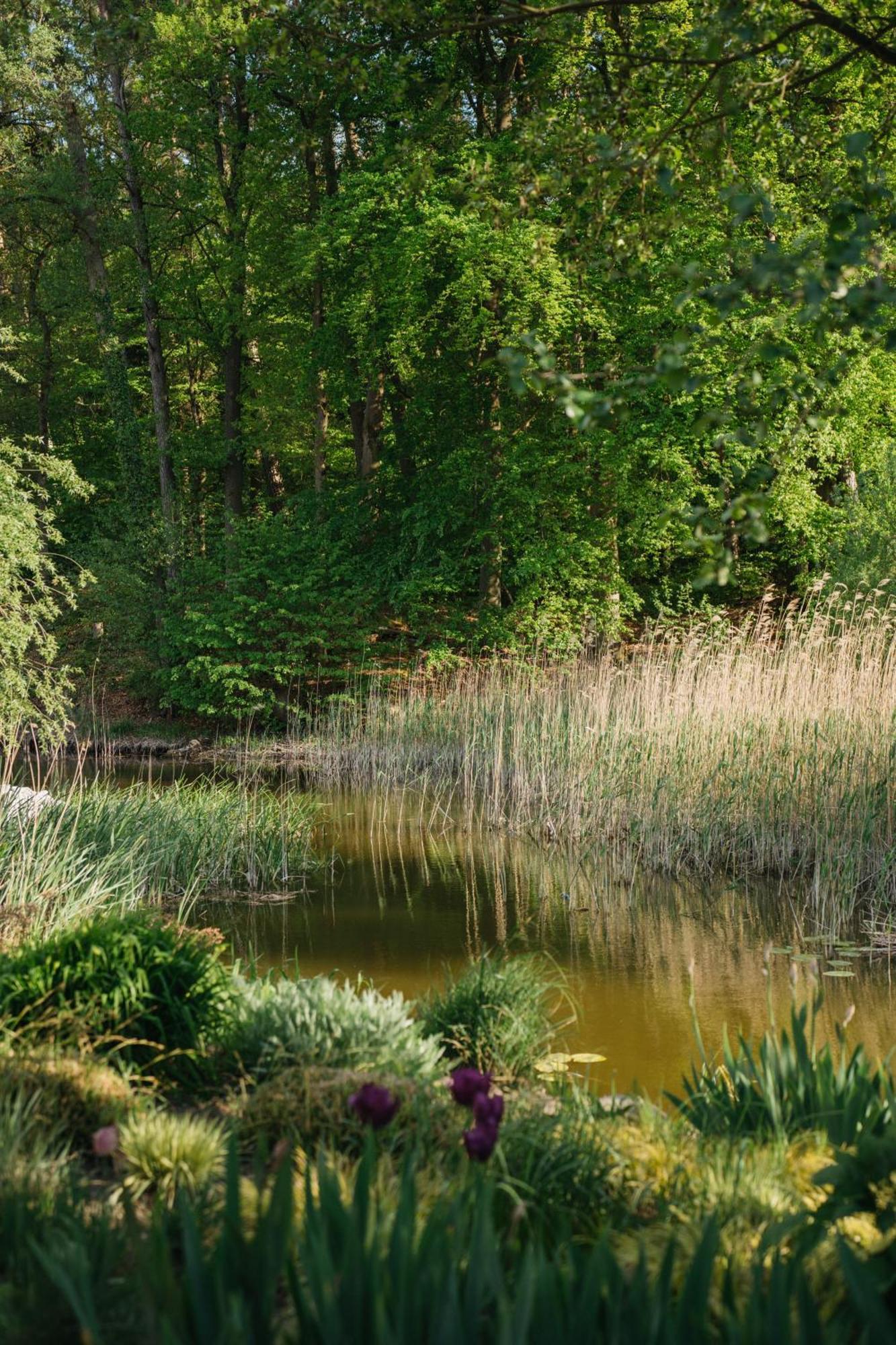 Muehle Am Wentowsee Gasthuis Tornow